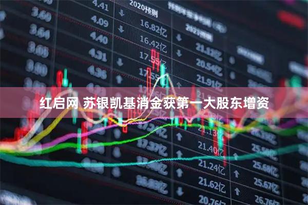 红启网 苏银凯基消金获第一大股东增资