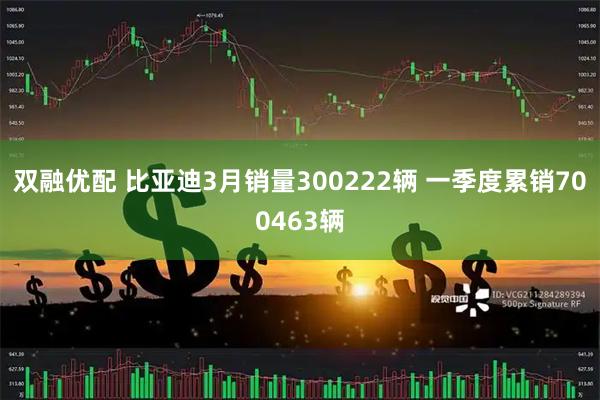 双融优配 比亚迪3月销量300222辆 一季度累销700463辆
